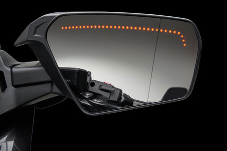 PANOVISTA Extended Convex Mirrors with Sequential Turn Signals