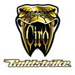 Goldstrike the leader in Gold Wing Accessories