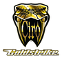 Goldstrike the leader in Gold Wing Accessories