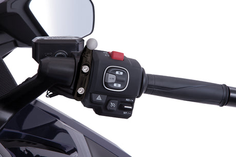Goldstrike Accessory Perch Mount For Honda Gold Wing